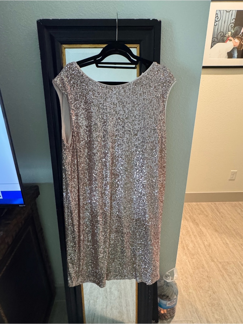 She + Sky Silver Sequin Sleeveless Shift Dress